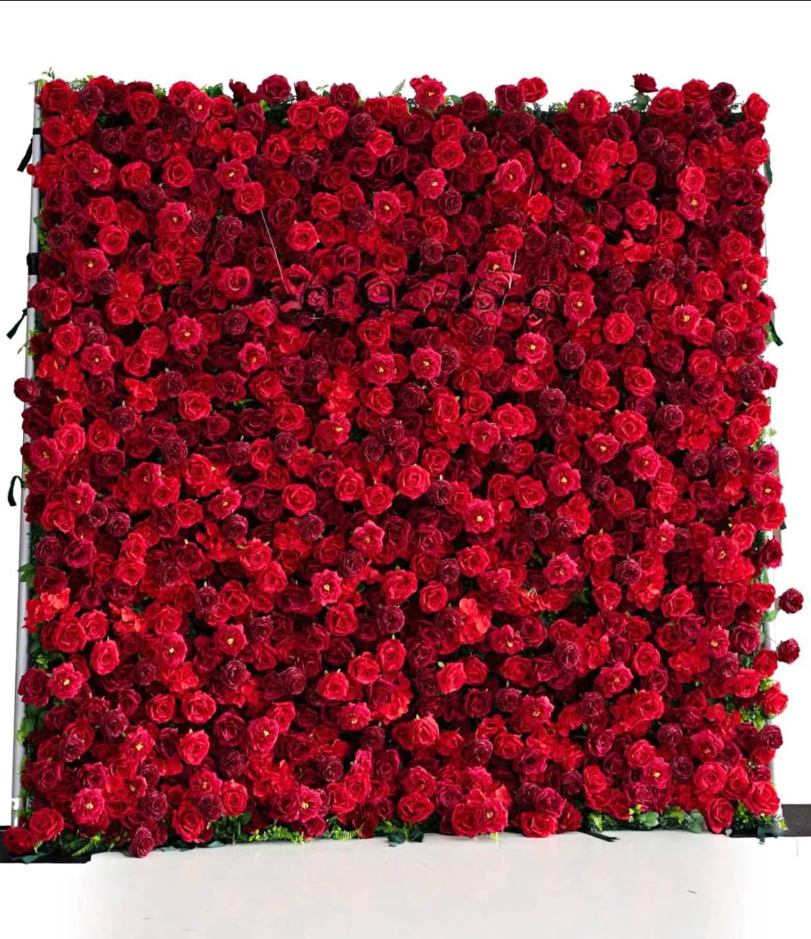 Densely packed red and burgundy roses form a large, square floral wall against white background.